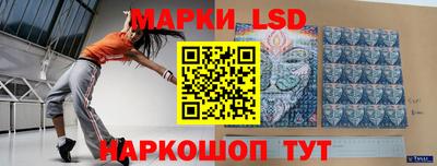 прущие грибы Будённовск