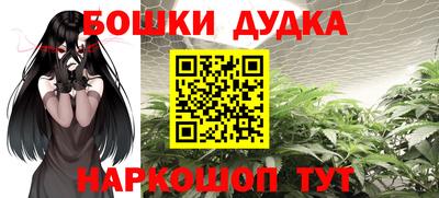 прущие грибы Будённовск
