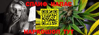 прущие грибы Будённовск