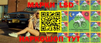 прущие грибы Будённовск