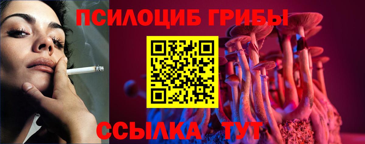 Сергиев Посад  купить наркотик  Вход с VPN  Псилоцибиновые грибы GOLDEN TEACHER 