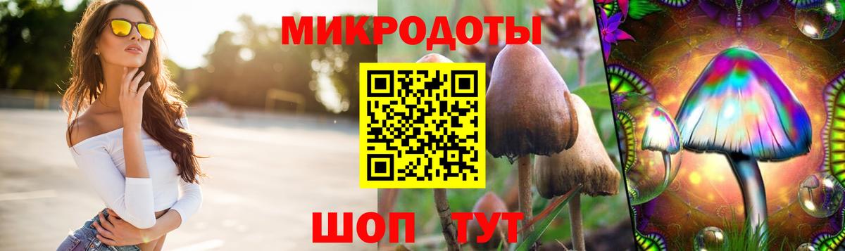 Галлюциногенные грибы MAGIC MUSHROOMS Сергиев Посад